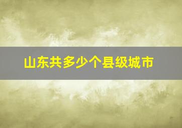 山东共多少个县级城市