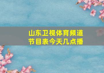 山东卫视体育频道节目表今天几点播