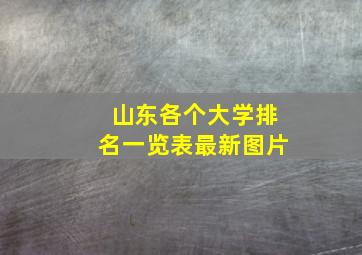 山东各个大学排名一览表最新图片