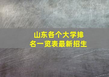 山东各个大学排名一览表最新招生