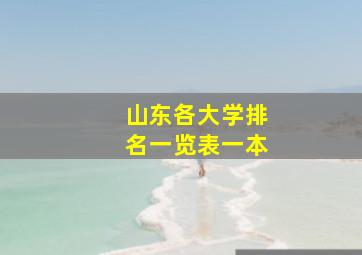 山东各大学排名一览表一本