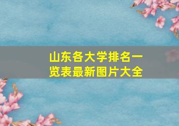 山东各大学排名一览表最新图片大全