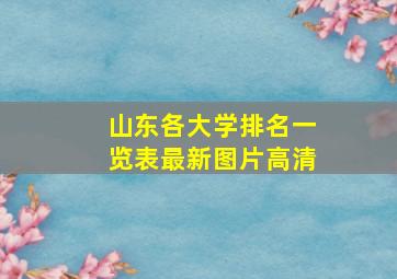 山东各大学排名一览表最新图片高清