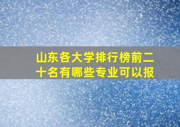 山东各大学排行榜前二十名有哪些专业可以报