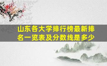 山东各大学排行榜最新排名一览表及分数线是多少