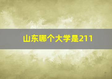 山东哪个大学是211