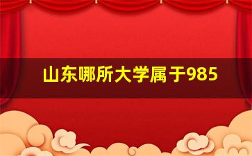 山东哪所大学属于985