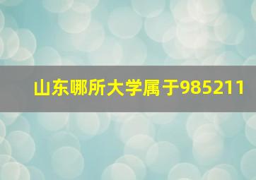 山东哪所大学属于985211