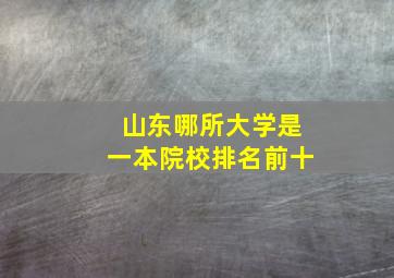 山东哪所大学是一本院校排名前十