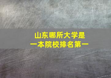 山东哪所大学是一本院校排名第一