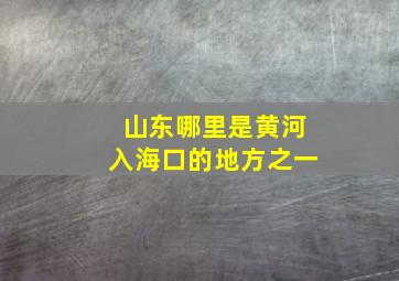 山东哪里是黄河入海口的地方之一