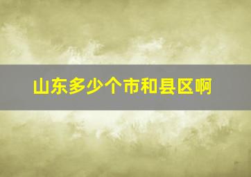 山东多少个市和县区啊