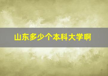 山东多少个本科大学啊