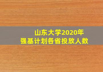 山东大学2020年强基计划各省投放人数