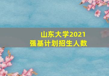 山东大学2021强基计划招生人数