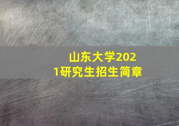 山东大学2021研究生招生简章