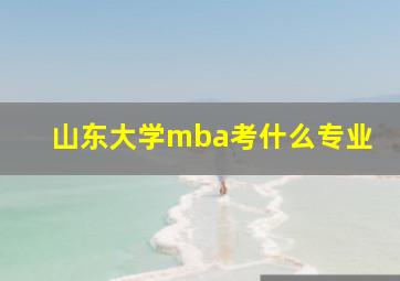 山东大学mba考什么专业