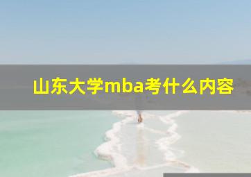 山东大学mba考什么内容