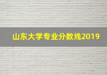 山东大学专业分数线2019