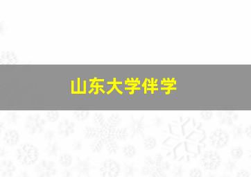 山东大学伴学