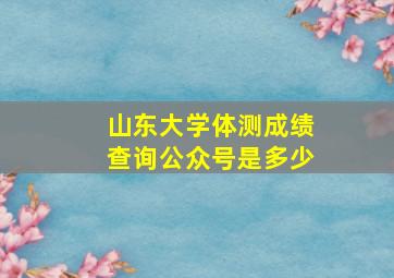 山东大学体测成绩查询公众号是多少