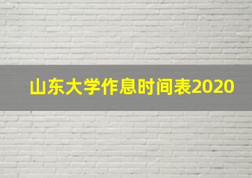 山东大学作息时间表2020