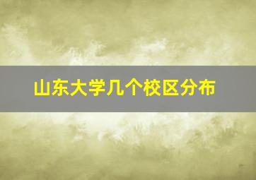 山东大学几个校区分布