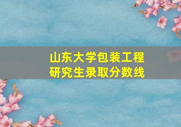 山东大学包装工程研究生录取分数线