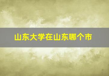 山东大学在山东哪个市