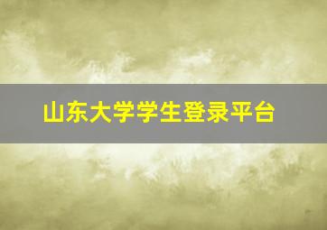 山东大学学生登录平台