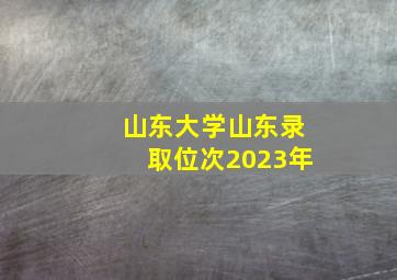 山东大学山东录取位次2023年