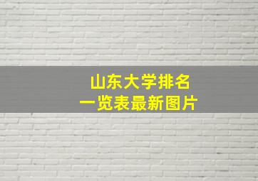 山东大学排名一览表最新图片