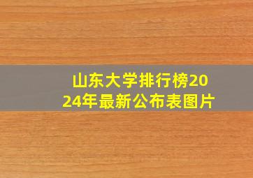 山东大学排行榜2024年最新公布表图片