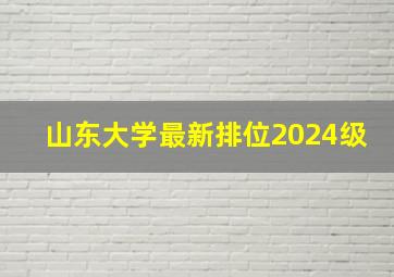 山东大学最新排位2024级