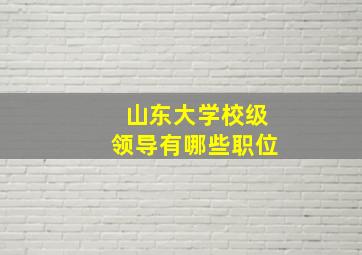 山东大学校级领导有哪些职位