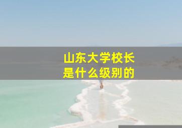 山东大学校长是什么级别的