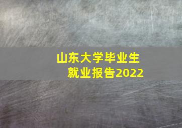 山东大学毕业生就业报告2022