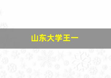 山东大学王一