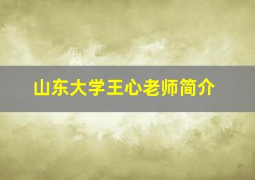 山东大学王心老师简介