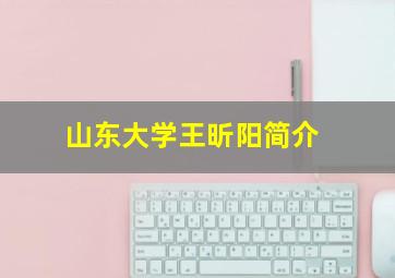 山东大学王昕阳简介