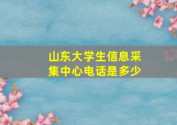 山东大学生信息采集中心电话是多少