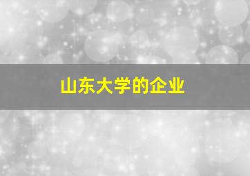 山东大学的企业