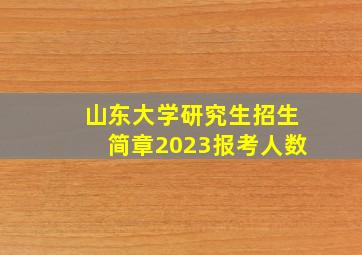 山东大学研究生招生简章2023报考人数