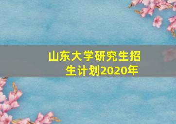 山东大学研究生招生计划2020年