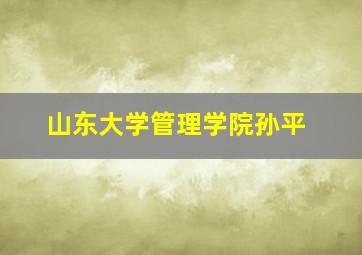 山东大学管理学院孙平