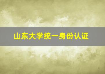 山东大学统一身份认证