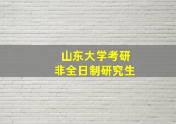 山东大学考研非全日制研究生