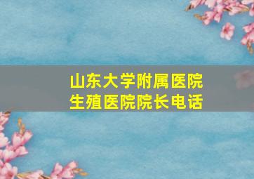 山东大学附属医院生殖医院院长电话