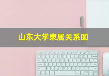 山东大学隶属关系图