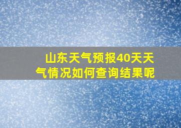 山东天气预报40天天气情况如何查询结果呢